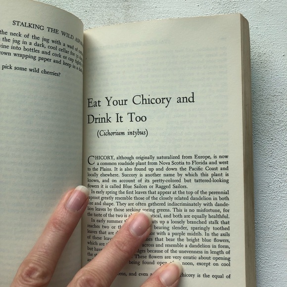 Stalking The Wild Asparagus: Field Guide Edition, by Euell Gibbons, 1970 reprint - Picture 16 of 17